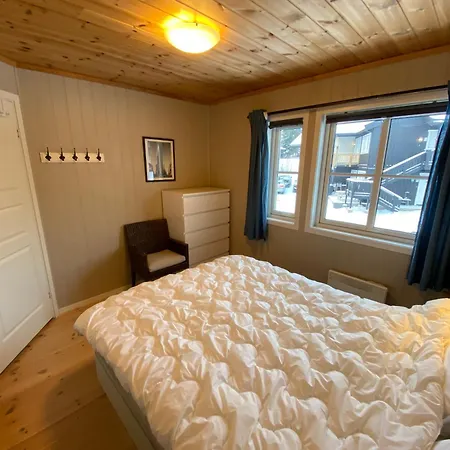 I Fagerasen, Trysil, Med Og Ut 特吕西尔