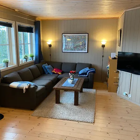 I Fagerasen, Trysil, Med Og Ut 公寓 特吕西尔