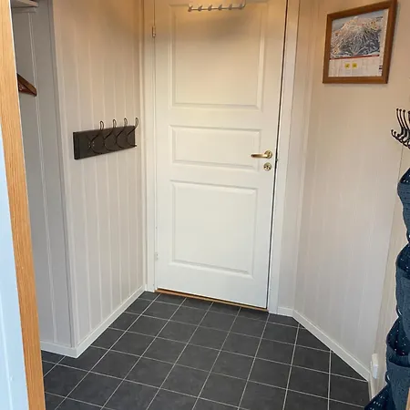 I Fagerasen, Trysil, Med Og Ut 特吕西尔